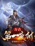 阮南枝傅祁川封面