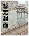 宋缔封面